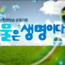 화천1리 네이버블로그