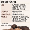 진흥동물병원 이미지