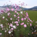 계남중학교 이미지