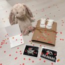 11545-12-22-13 | [임신일기 EP.7]임신초기 12주차~13주차 기록, 니프티(G-NIPT)검사 후기, 기형아 검사, 젠더리빌