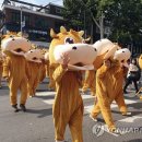 횡성 수농장 이미지