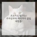 천안엘츠의원 네이버블로그
