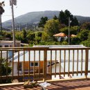 제주배또롱 이미지