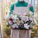 소니아플레르