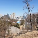 서리풀길 4 이미지