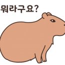 김명후다이어트복싱클럽 이미지