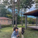 금마관광지 | 작은 공간 속 큰 행복 귀여운 동물과 시원한 바람 속으로 익산 액션하우스