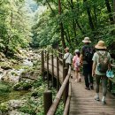 은하수전세버스협동조합지점 | 무주 가볼만한곳, 한여름 덕유산 구천동 계곡부터 머루와인동굴·태권도원까지 더위 안 지치는 1박2일 코스