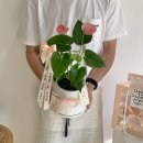 르바스 헤어