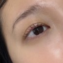 화인 | 논현동 속눈썹 펌 후기 | 화인뷰티에서 자연스럽고 또렷하게