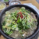 쌍용해장국 | 제주식 해장국중 고기 당면 듬뿍 들어있는 얼큰한 해장맛집 " 제주은희네해장국 천안쌍용점" (+또또또간집)