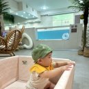 포시즌스풀