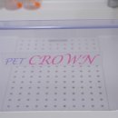 왈왈 살롱 이미지