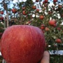 태형농장 이미지