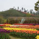 보성정원민박 이미지