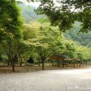 정든 캠핑장 이미지