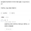 남제주카센타 이미지