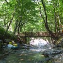 운문산자연휴양림 이미지