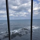 호텔더원 | 제주도 면접과 여행 코스 빽다방베이커리 제주사수점 제주 호텔더원 숙소 후기