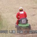 도산골 네이버블로그