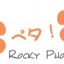 미스동백 이미지