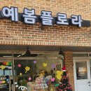 클래스트리 | 파주운정꽃집 예봄플로라에서 생화트리 클래스 체험 후기