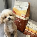 스토리펫 | 가수분해 사료 찾다가 급여해본 오가닉스토리 또와펫 후기 (강아지 알러지 사료)