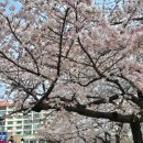 남천1-303 이미지