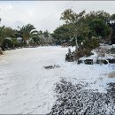 무명화가의 집 이미지