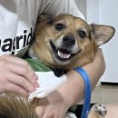주)펫더헤븐 이미지