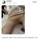 창조테라피, 림프의 흐름을 회복하는 공간