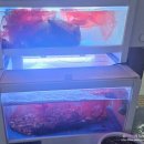 버스정류장(죽전네거리 2) 이미지