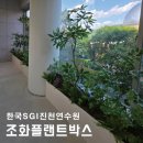 진천 플랜트박스조경 인조식물 연수원 실내화단 인테리어