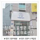 더조은 동물의료센터 | 청주 나래동물의료센터 후기 고양이 스케일링 잘하는 곳