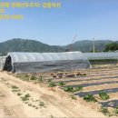 춘천시신북읍오동보건진료소 | [토지(전)경매 낙찰비법] 2019타경 51801♣강원 춘천시 신북읍 산천리 363-7 경매 수익성분석