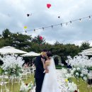 모아르스냅 광주야외웨딩 시크릿가든 광주아이폰스냅후기 광주야외예식장