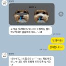 펫부머