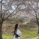 헤어B612