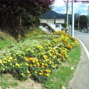 비석마을회 이미지