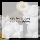 달리자한의원 이미지