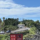 낭만식당 | ‘내돈내먹’제주도 애월 김밥집 낭만식당 솔직후기