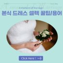 본식 드레스 셀렉 팁, 준비물, 시기 / 웨딩드레스 용어