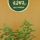 더공일