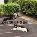 장충본가족발 | [우리 애들] 2024 하반기 샤이니 덕질 결산