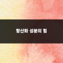 더블 화이티아