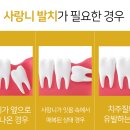 보스톤서울치과의원 이미지