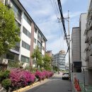 화정푸른솔약국 | 돌 아기와 하계 어린이도서관 &amp; 도담도담나눔터 하계1동