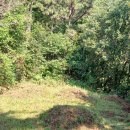 삼산면-3 이미지