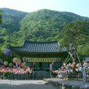 용문산 이미지