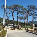 카페 무 이미지